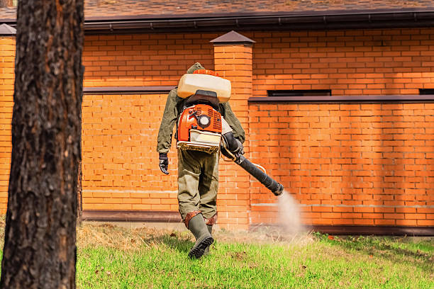 Top rated local Cockroach Control specialists in Baxter, TN
